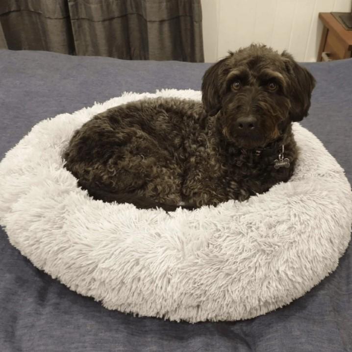 Cama Dulce Sonno™