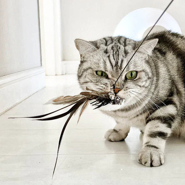 Juguete Interactivo para Gatos - MoviCat™