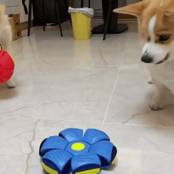 Pelota Frisbee Voladora para Mascotas - FlyBall™