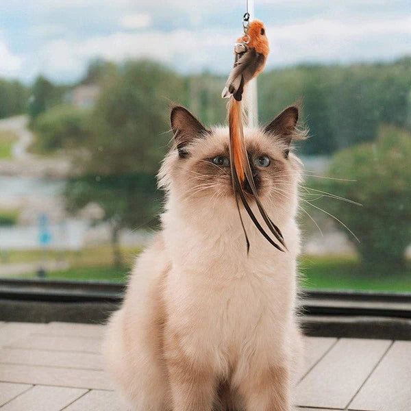 Juguete Interactivo para Gatos - MoviCat™
