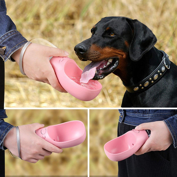 Dispensador de Agua PetFlow™