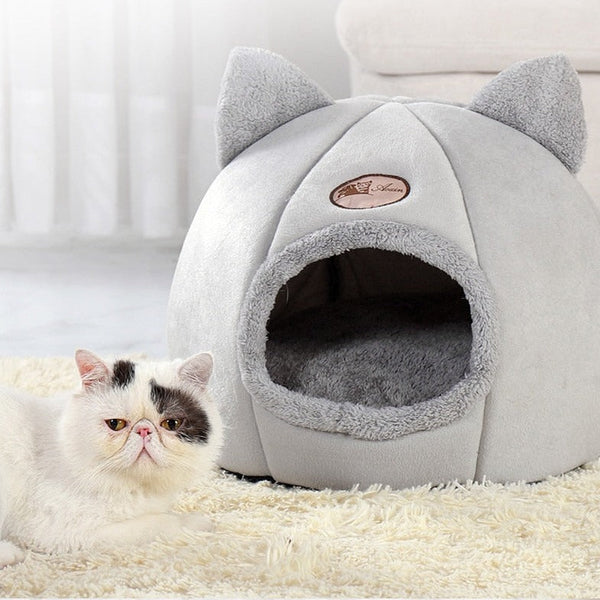 Cama Gatuna DreamNest™